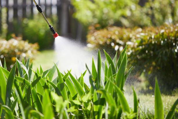 Tamper-Resistant Bait Stations for Rodents in Delano