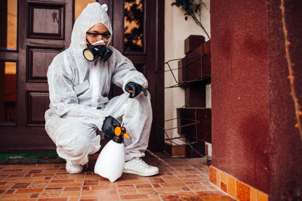 Attic and Crawl Space Rodent Treatment in Delano